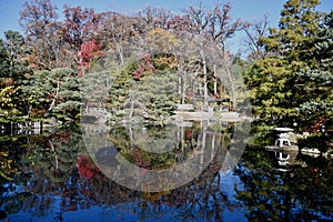 Fall Foliage at Anderson Japanese Garden #6
