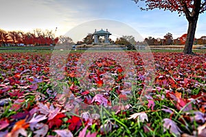 Fall foliage around the Forest Park bandstand in St. Louis, Missouri
