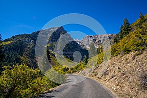 Fall Foliage with Aspen Trees along the Wasatch Mountain Range