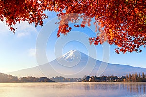 Fall foliage in autumn season and Mountain Fuji near Fujikawaguchiko, Yamanashi. Fuji Five lakes. Trees in Japan with blue sky ba