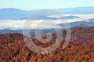 Fall foliage Blue Ridge Parkway