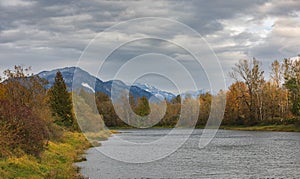 Fall foliage in British Columbia mountains. Canadian woods in fall autumn season in Agassiz by Fraiser River