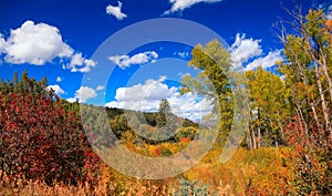 Fall foliage in Colorado rocky mountains with dramatic cloudy sky