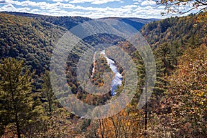 Fall foliage colors at Leonard Harrison State Park. Pine Creek Gorge, the Grand Canyon of Pennsylvania