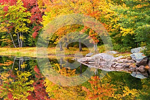 Fall foliage colors reflected in still lake water