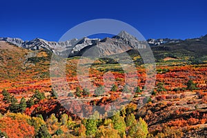 Fall foliage at Continental divide near Ridgeway, Colorado