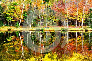 Fall foliage in Crawford Notch, State Park, NH