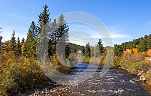 Fall foliage by the creek in Colorado rocky mountains