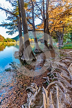 Fall foliage on the crystal clear Frio River in Texas.