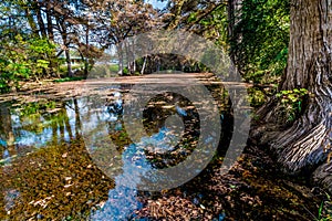 Fall foliage on the crystal clear Frio River in Texas.