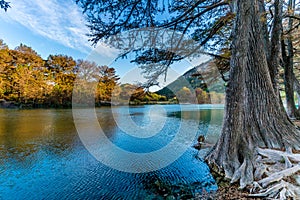 Fall foliage on the crystal clear Frio River in Texas.