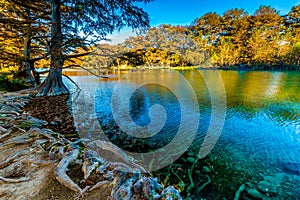 Fall foliage on the crystal clear Frio River in Texas. photo