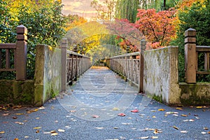 Fall Foliage at Crystal Springs Rhododendron Garden at sunset
