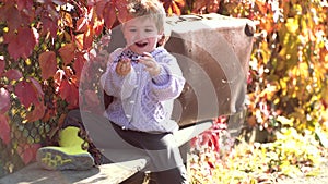 Fall foliage. Cute kid sitting on autumn fallen leaves in a park. Kids play in autumn park. adorable happy baby boy