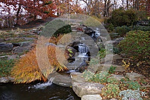 Fall Foliage At Dusk In The New York Botanical Garden