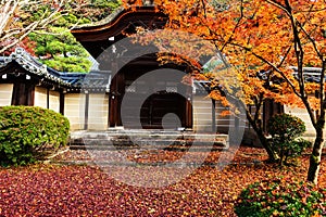 Fall foliage at Eikando in Kyoto