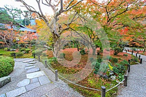 Fall foliage at Enkoji Temple,Kyoto,Japan