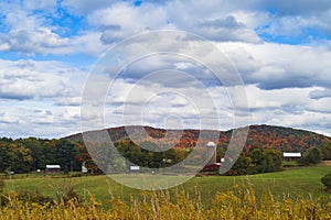 Fall Foliage on a farm in New York State