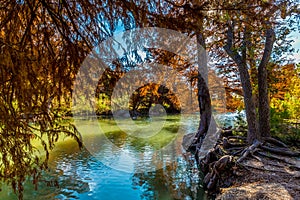 Fall Foliage at Guadalupe State Park, Texas