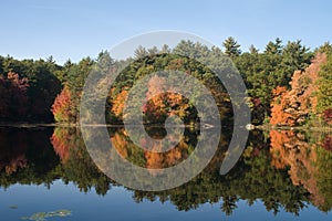 Fall foliage at Harold Parker State Forest