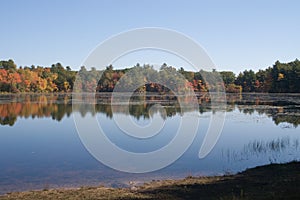 Fall foliage in Harold Parker State Park.