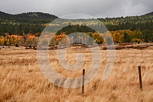 Fall Foliage in Hope Valley California