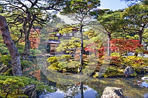 Fall Foliage in Kyoto