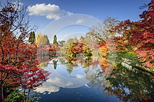 Fall Foliage in Kyoto, Japan