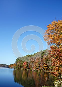 Fall foliage at Lake Johnson, a popular city park in Raleigh, NC