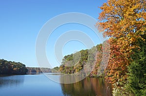 Fall foliage at Lake Johnson, a popular park in Raleigh, NC