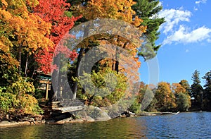 Fall Foliage in Lake Laurel, Berkshire, Massachusetts