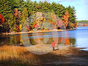 Fall foliage at Lake Massabesic