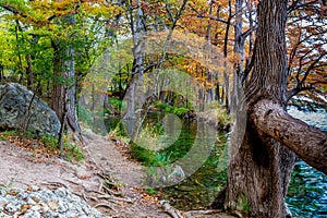 Fall Foliage and a Large Boulder near the Frio River