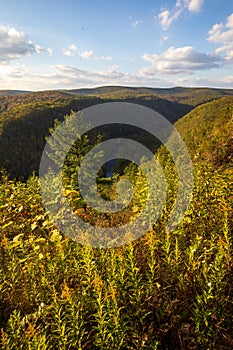 Fall foliage at Leonard Harrison State Park in an afternoon. Pine Creek Gorge, the Grand Canyon of Pennsylvania