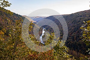 Fall foliage at Leonard Harrison State Park in an afternoon. Pine Creek Gorge, the Grand Canyon of Pennsylvania