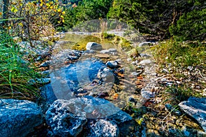 Fall Foliage at Lost Maples State Park in Texas.