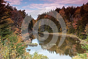 Fall Foliage in Maine, forest and a lake