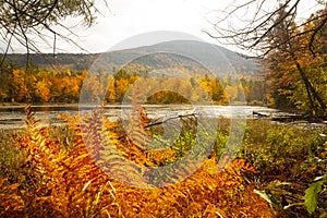 Fall foliage at Morey Pond, with a Mt. Kearsarge background