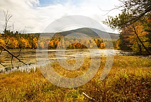 Fall foliage at Morey Pond, with a Mt. Kearsarge background