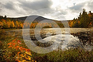 Fall foliage at Morey Pond, with a Mt. Kearsarge background