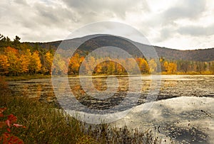 Fall foliage at Morey Pond, with a Mt. Kearsarge background