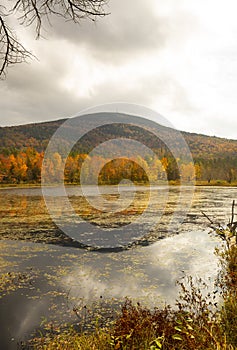 Fall foliage at Morey Pond, with a Mt. Kearsarge background