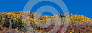 Fall foliage on mountain peaks in Wasatch mountain state park