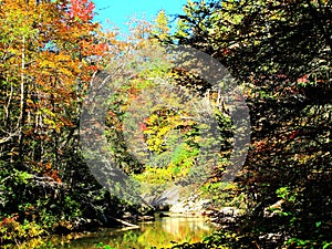 Fall foliage on mountain river