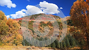 Fall foliage on mountain top in rural Colorado