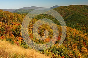 Fall foliage in the mountains