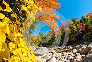 Fall foliage of New England, USA