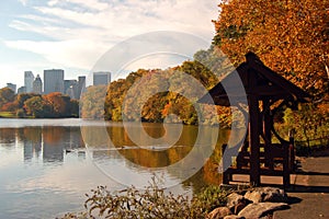 The fall foliage in New York