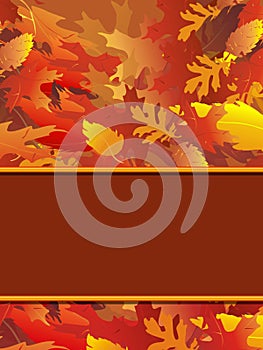 Fall Foliage Notecard