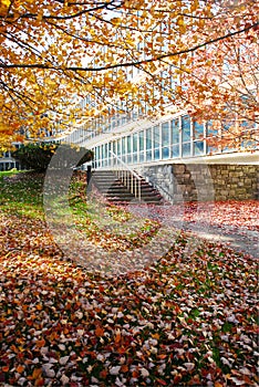 Fall Foliage Office Building